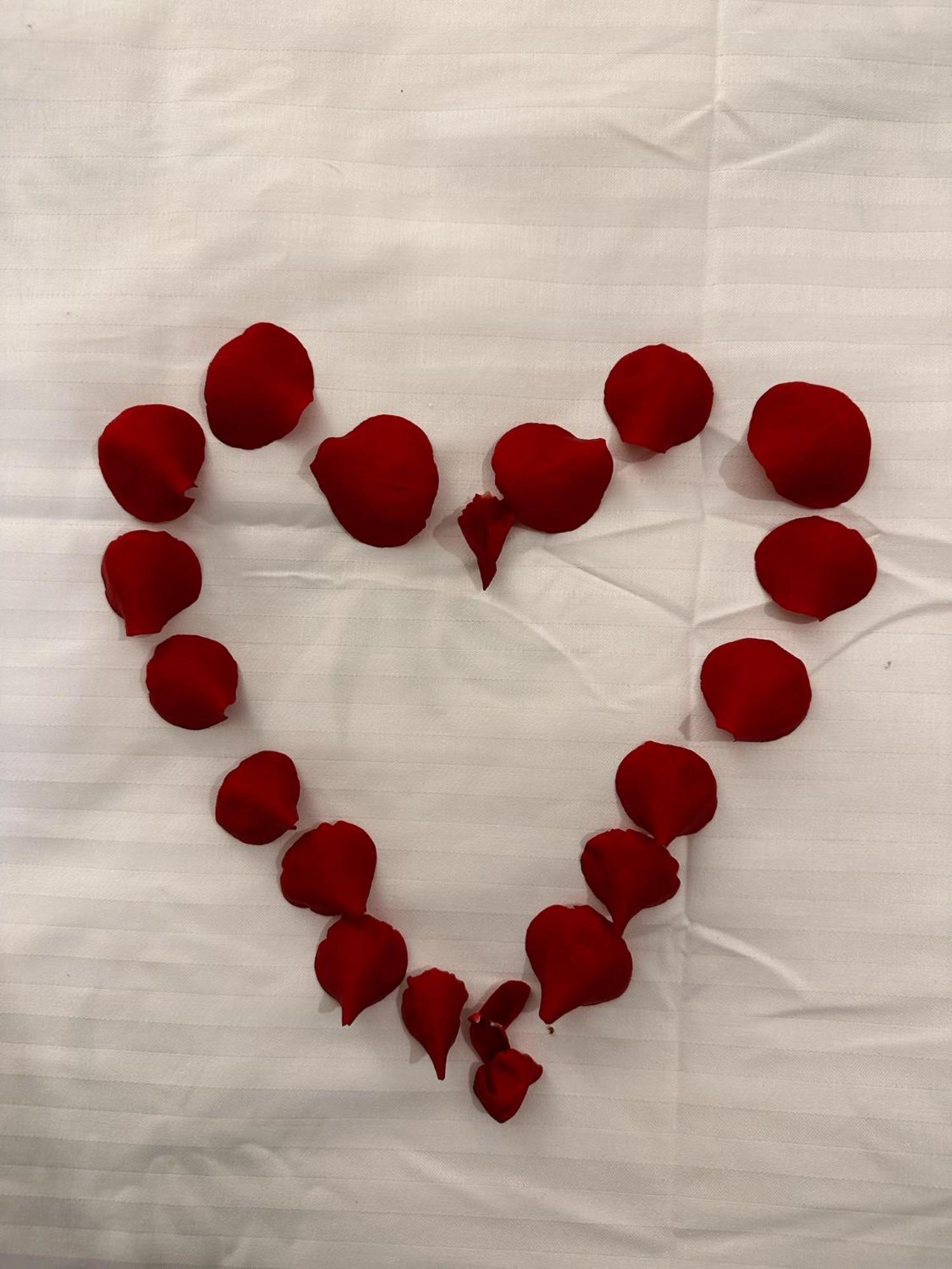 Romantic Charm, Spa, Free Early Check-In Bucarest Extérieur photo